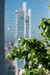 20130611_100905 Scorcio dal Bosco Verticale.jpg